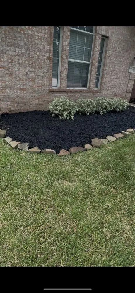 Professional lawn care service near you across Houston, TX - Olive Branch Home Improvement And Lawn Care