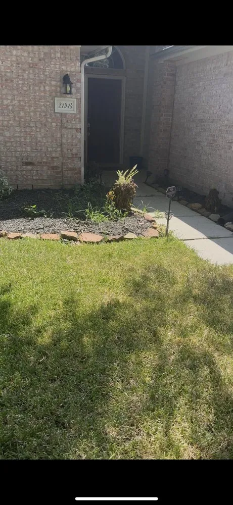 Expert yard cleanup service in Houston, TX - Olive Branch Home Improvement And Lawn Care