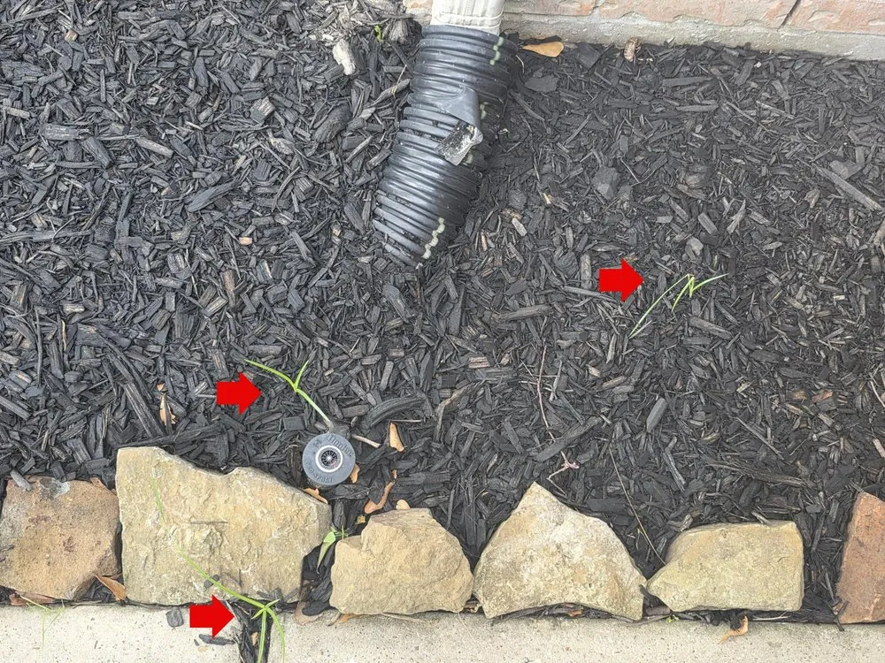 Custom lawn care service for year-round maintenance across Houston, TX - Olive Branch Home Improvement And Lawn Care