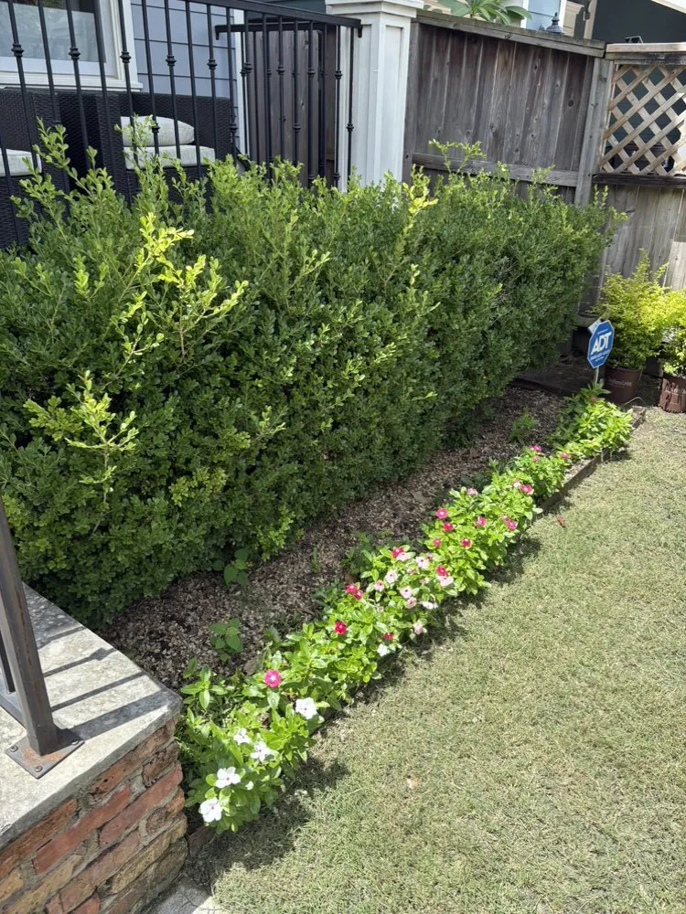 Affordable lawn care service in Houston, TX by Olive Branch Home Improvement And Lawn Care