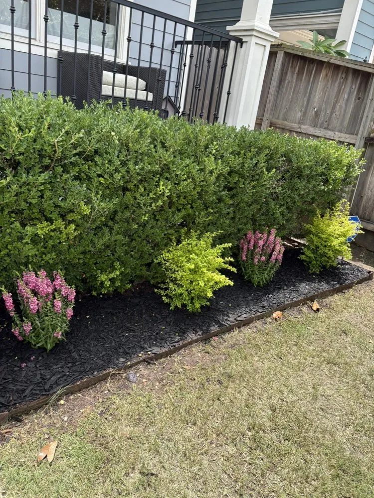 Affordable landscaping services in Houston, TX - Olive Branch Home Improvement And Lawn Care