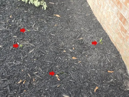 Olive Branch Home Improvement And Lawn Care Logo