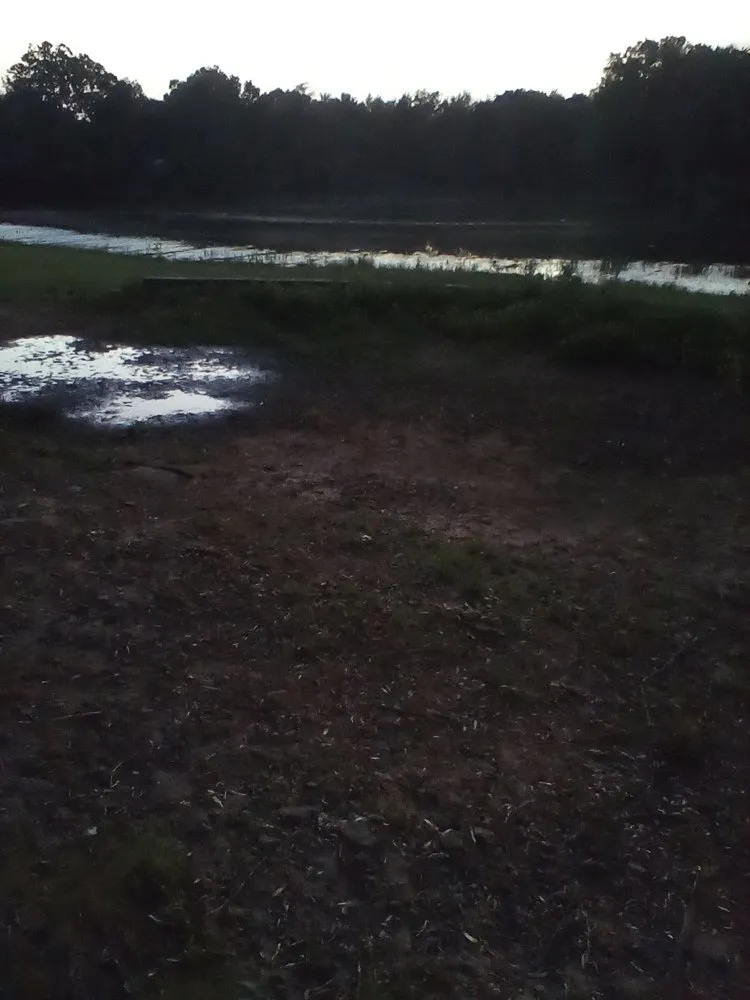 Expert residential landscaping experts serving Conway, AR - Olive Branch Landscape Management