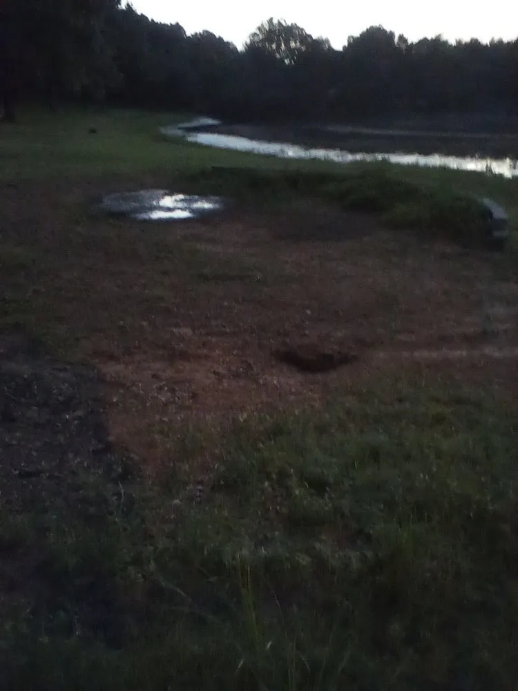 Professional yard maintenance in Conway, AR by Olive Branch Landscape Management