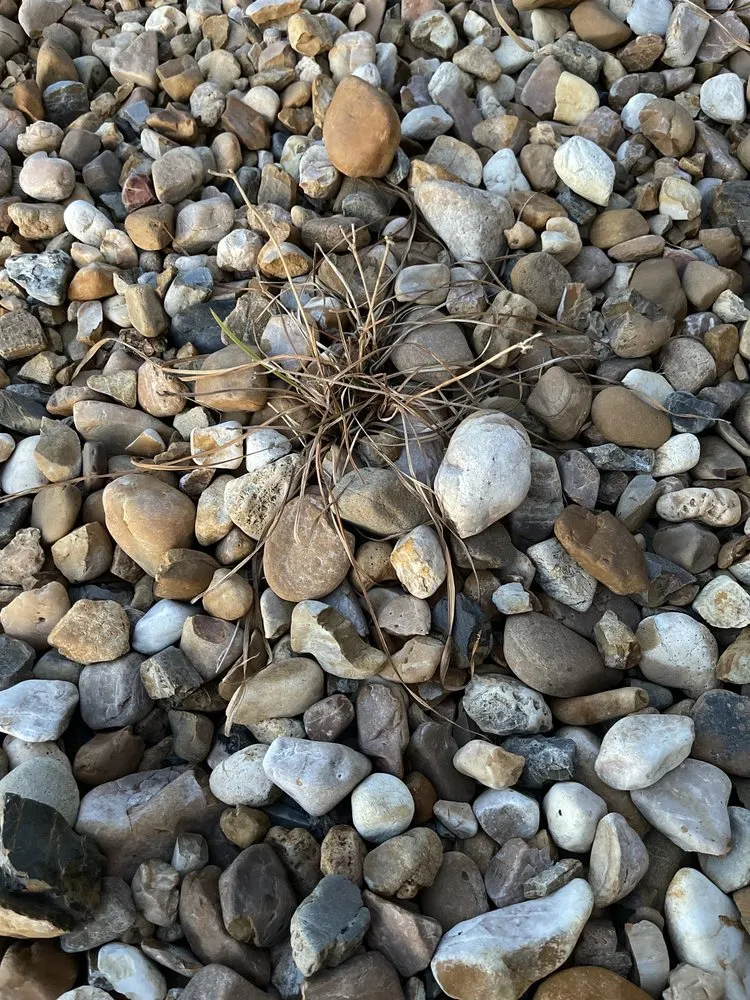 Professional landscaping services in Conway, AR - Olive Branch Landscape Management