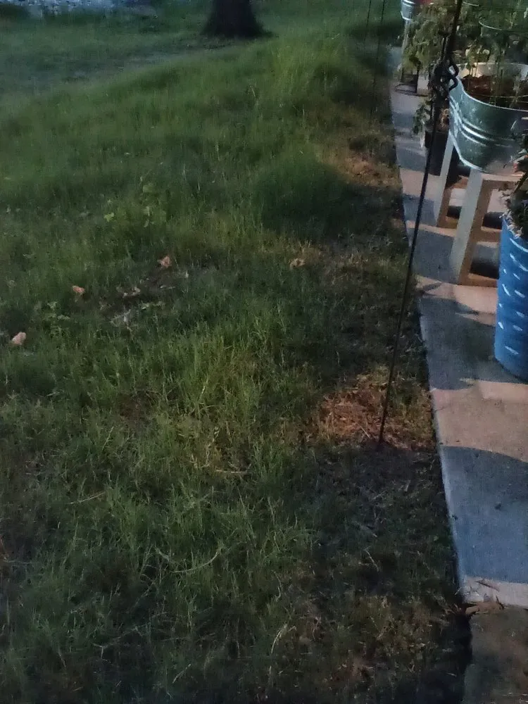 Local residential landscaping experts serving Conway, AR - Olive Branch Landscape Management