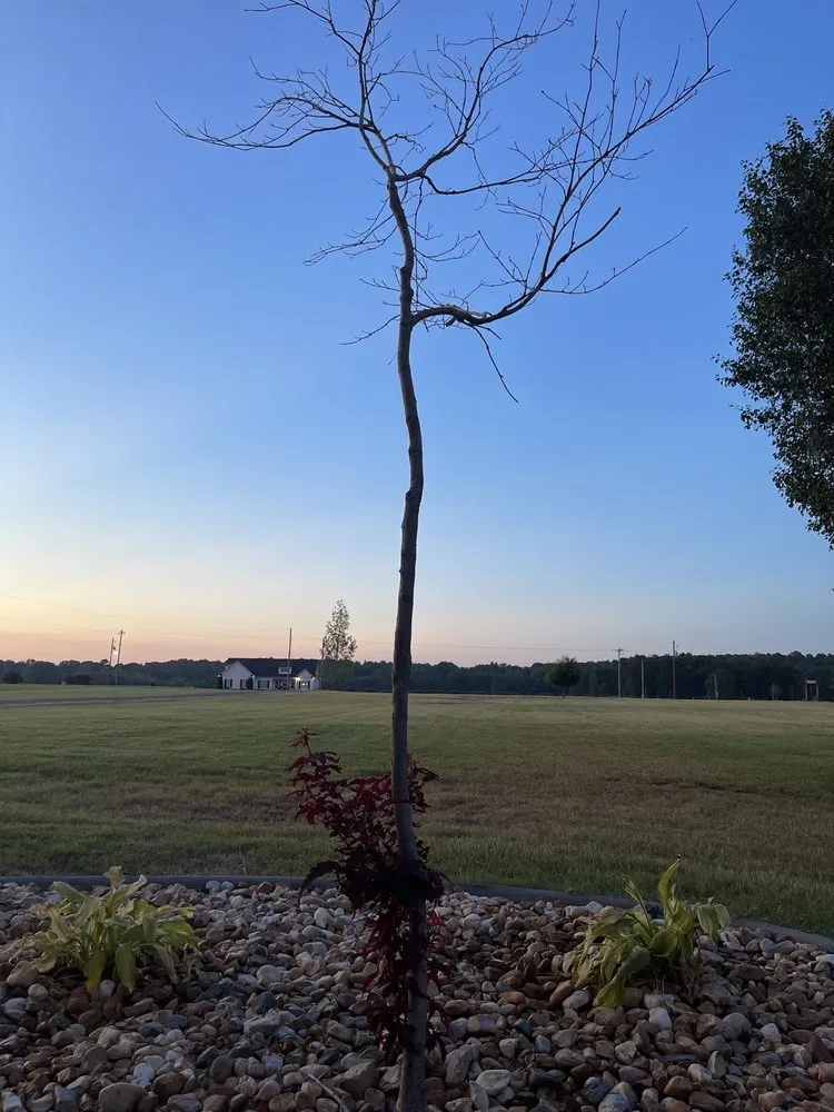 Local residential landscaping near you in Conway, AR by Olive Branch Landscape Management