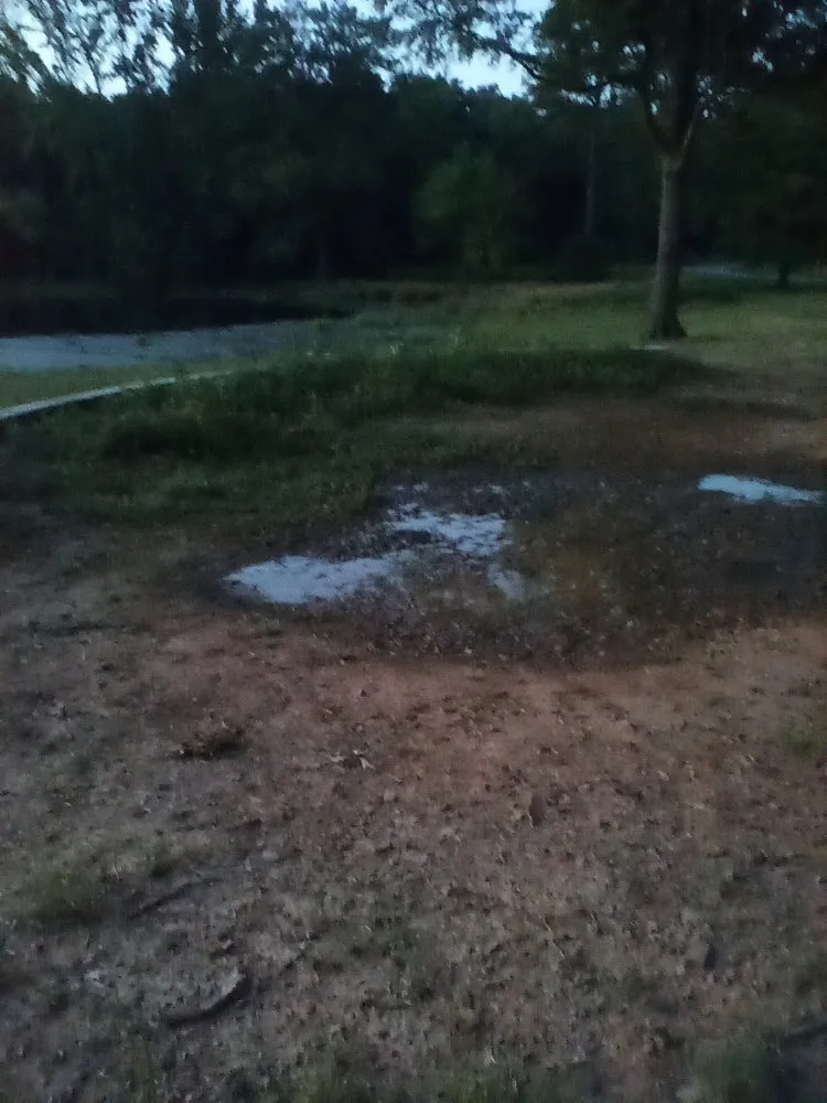 Trusted yard cleanup service in Conway, AR by Olive Branch Landscape Management