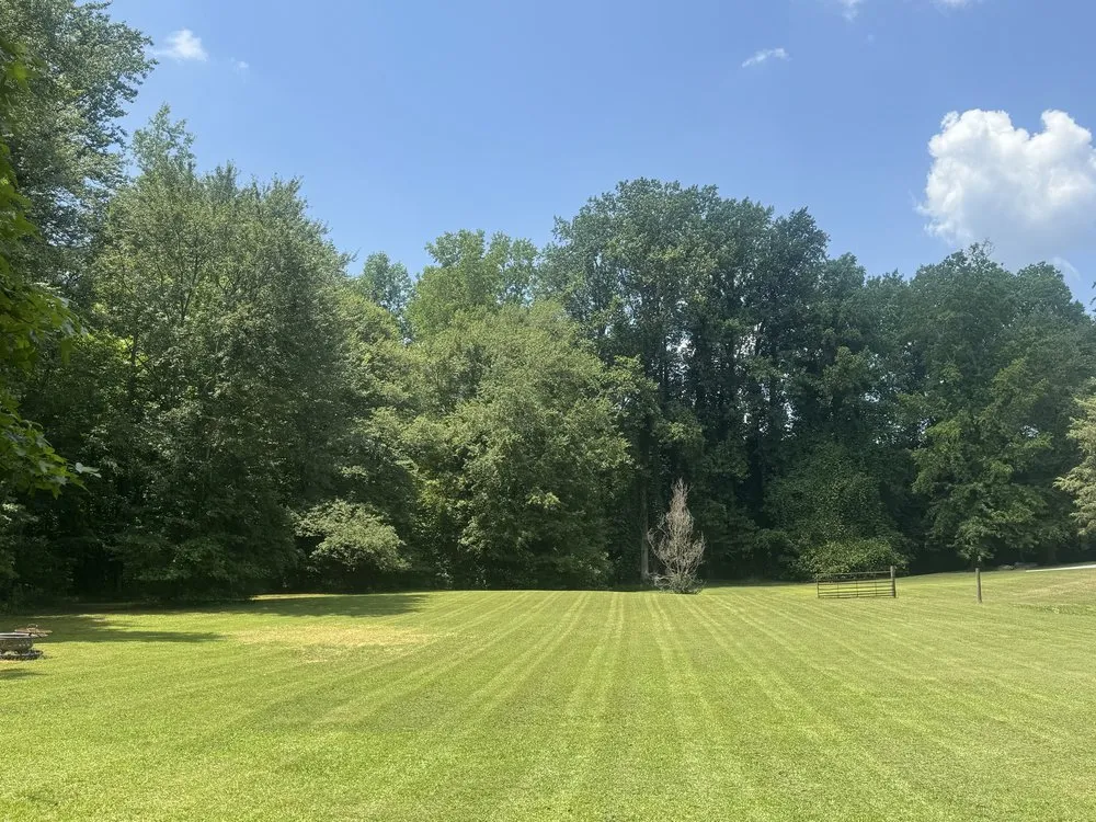 Custom lawn mowing service near you across Sunset, SC - Olive Branch Lawn Care