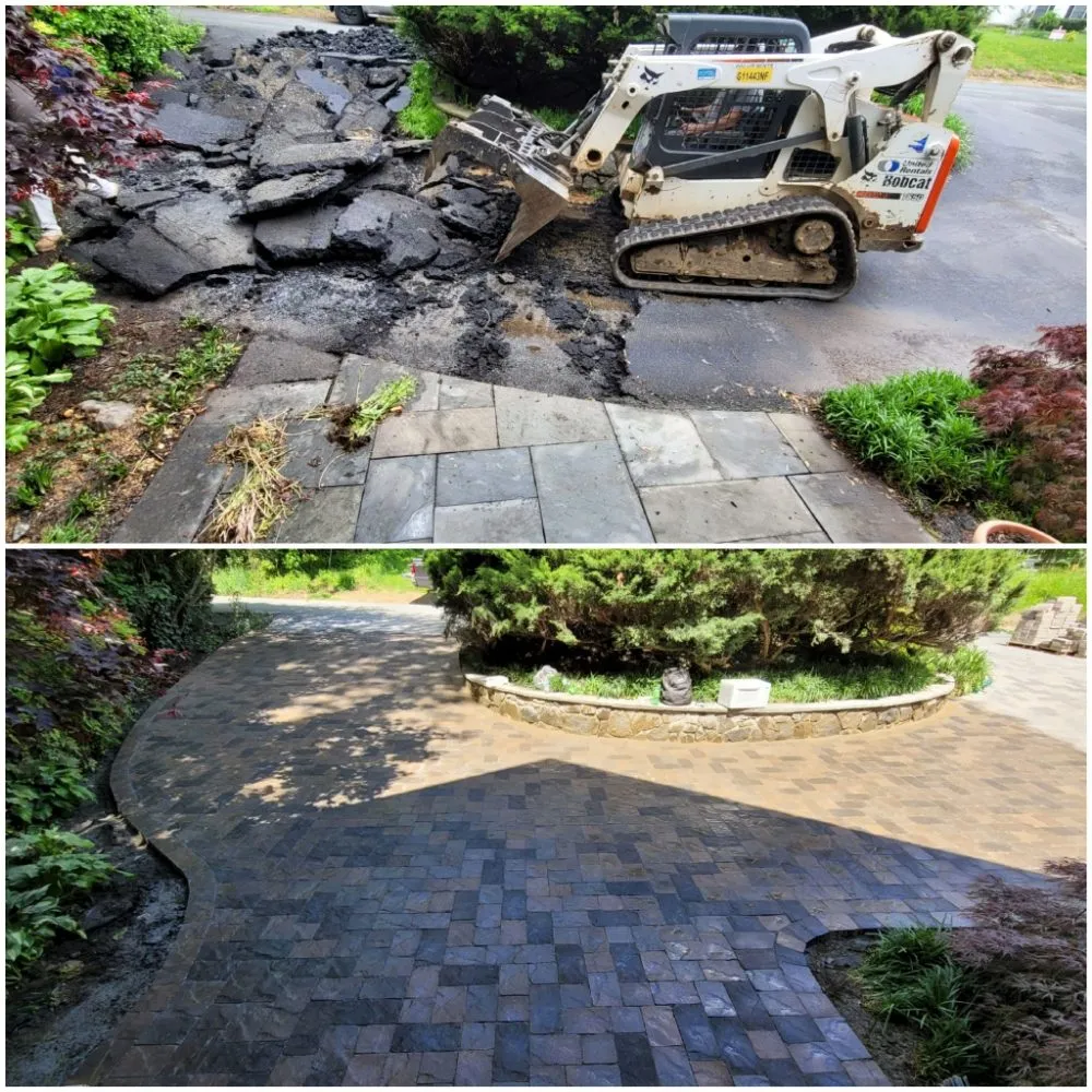 Trusted yard cleanup service for homes across Vienna, VA - Olive Branch Service