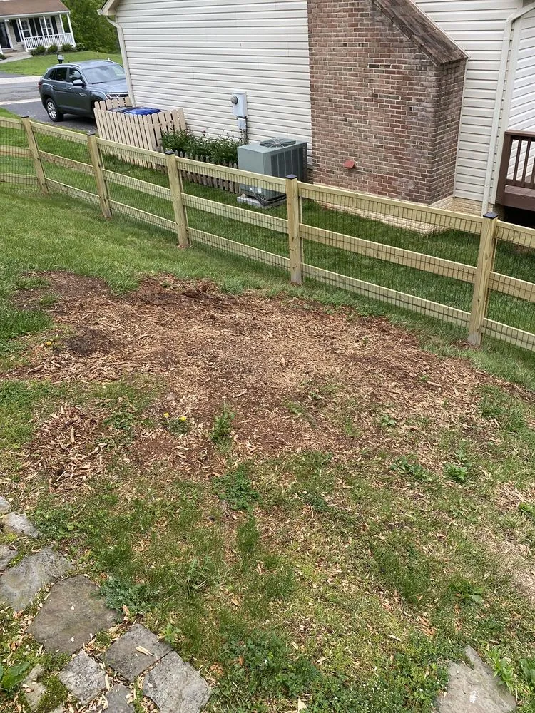 Professional yard maintenance in Vienna, VA - Olive Branch Service