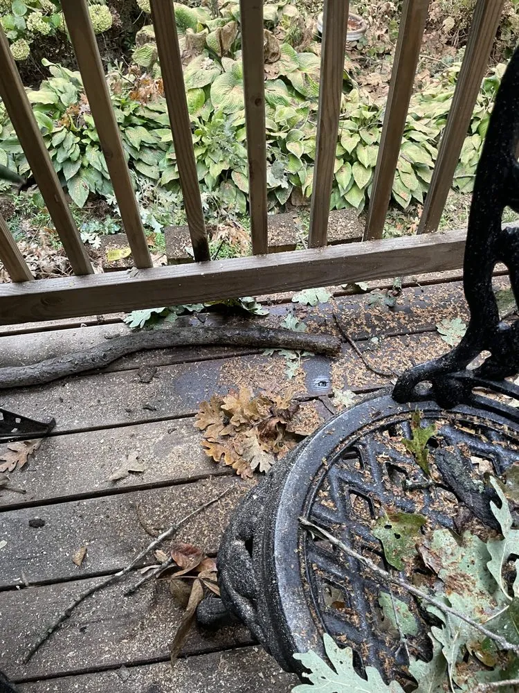 Reliable landscape design in Vienna, VA by Olive Branch Service