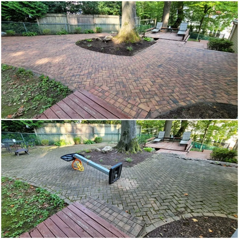 Affordable outdoor landscaping in Vienna, VA by Olive Branch Service