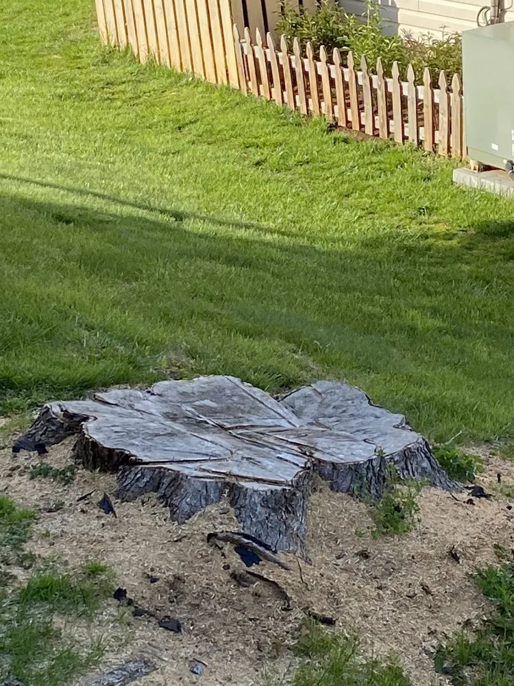 Reliable landscape installation in Vienna, VA by Olive Branch Service