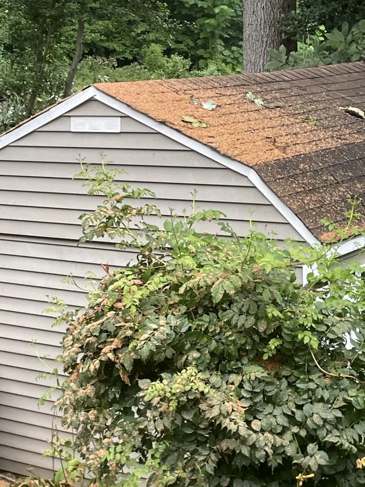 Trusted garden landscaping in Vienna, VA by Olive Branch Service