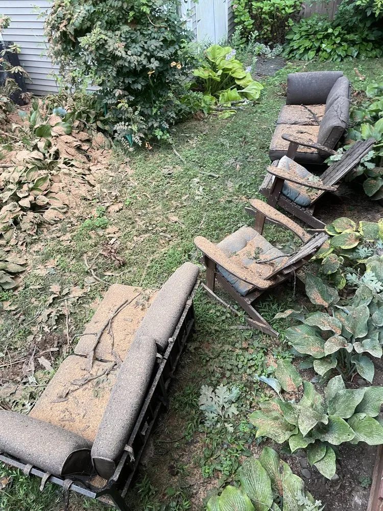 Reliable landscaping services in Vienna, VA - Olive Branch Service