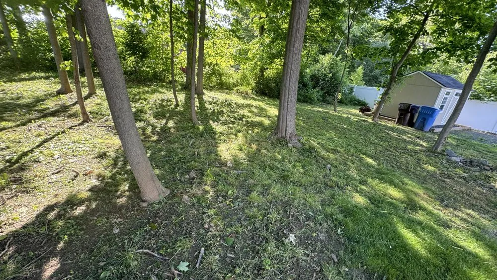 Professional landscape installation for homes in New Britain, CT by Olive Creek Landscaping