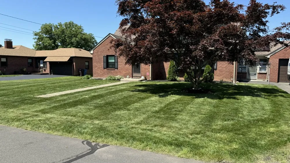 Local landscape design experts serving New Britain, CT - Olive Creek Landscaping