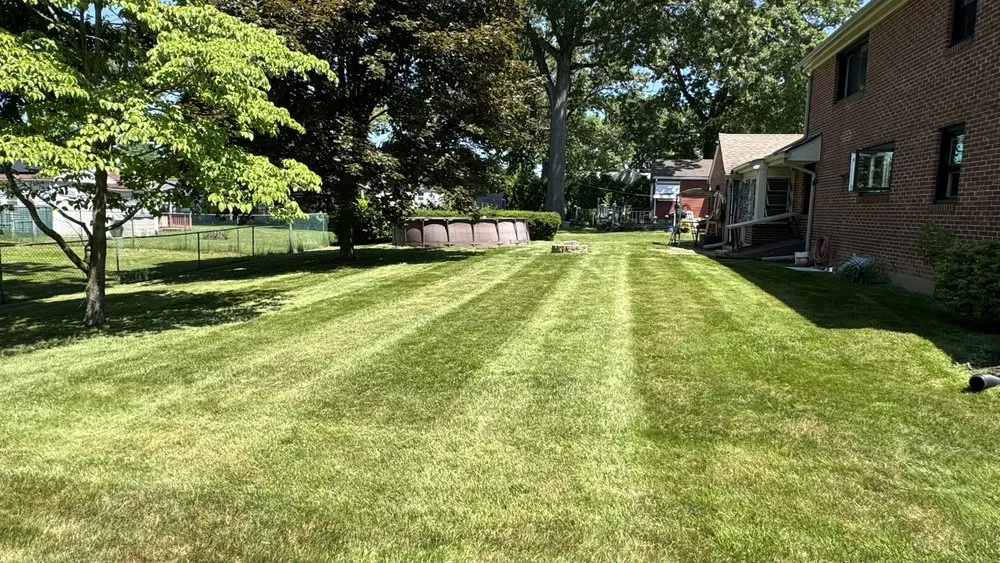 Trusted yard cleanup service for beautiful yards across New Britain, CT - Olive Creek Landscaping