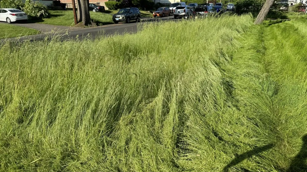 Local yard maintenance in New Britain, CT by Olive Creek Landscaping