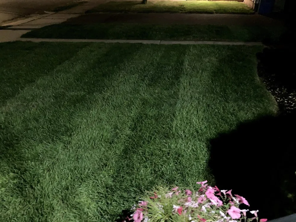 Top-rated yard maintenance in New Britain, CT by Olive Creek Landscaping