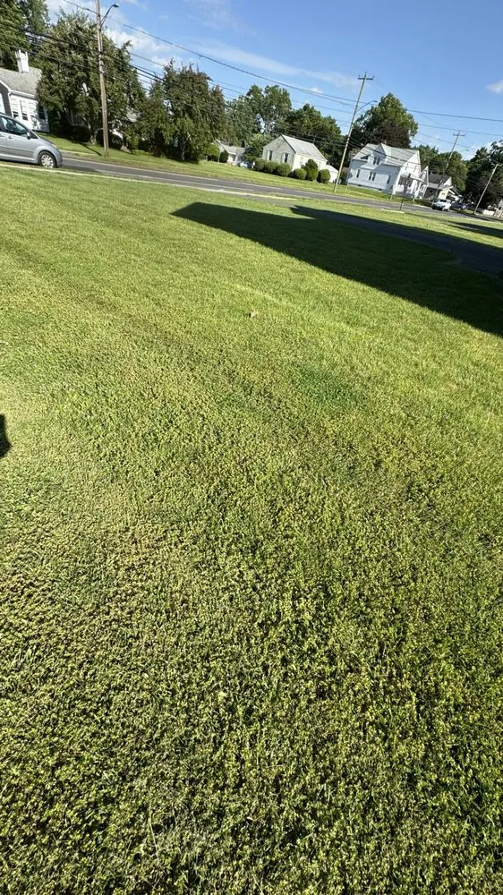 Expert landscape installation experts serving New Britain, CT - Olive Creek Landscaping