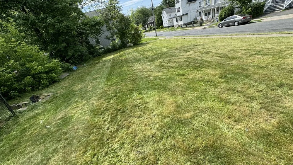 Top-rated landscape design near you in New Britain, CT by Olive Creek Landscaping