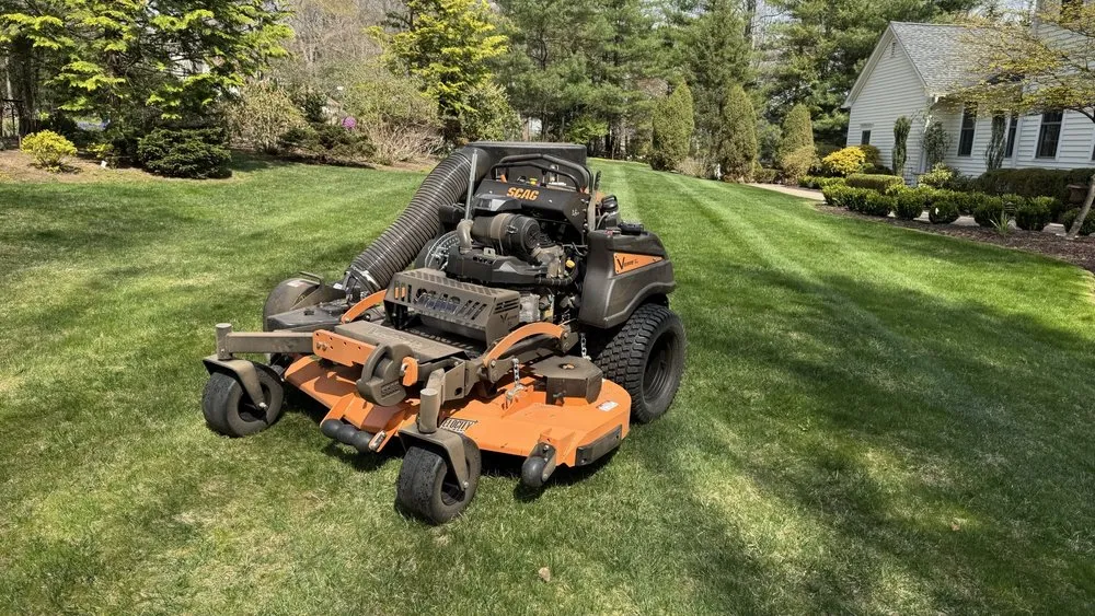 Local yard cleanup service in New Britain, CT by Olive Creek Landscaping