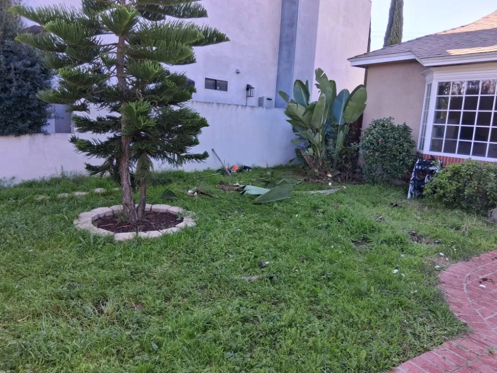 Trusted garden landscaping in Wilmington, CA - Olive Green Landscaping