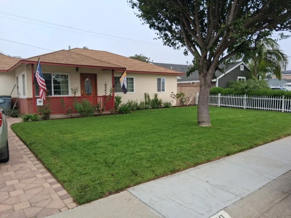 Expert lawn care service in Wilmington, CA by Olive Green Landscaping