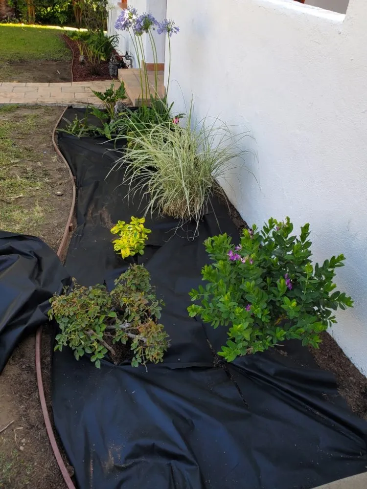 Top-rated outdoor landscaping in Wilmington, CA - Olive Green Landscaping