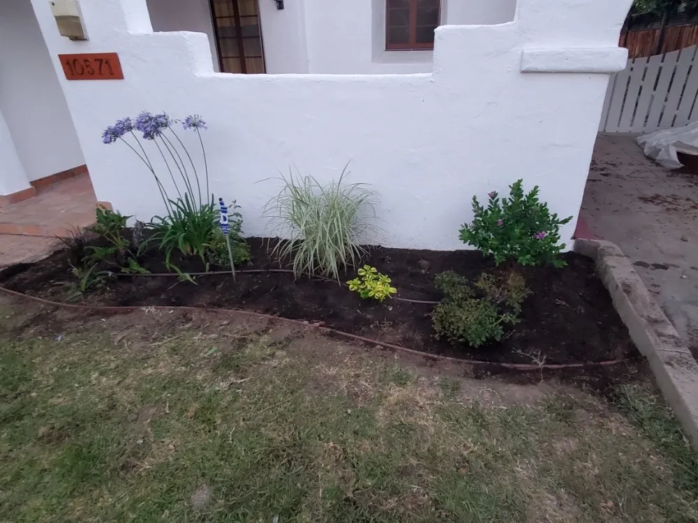 Expert lawn care service in Wilmington, CA by Olive Green Landscaping
