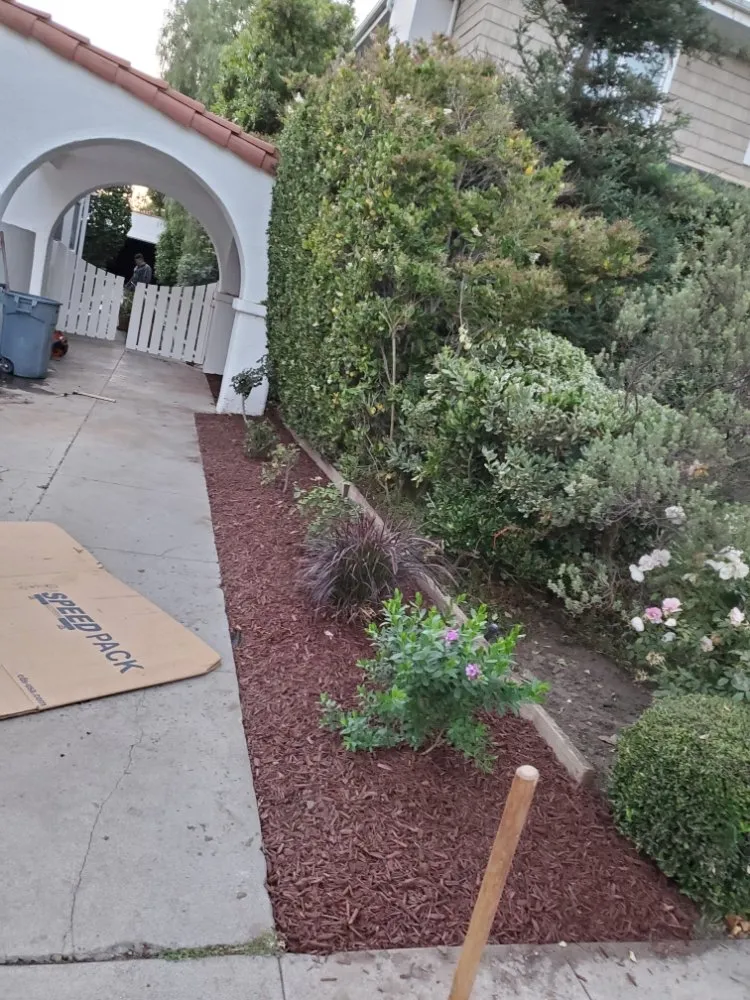 Reliable yard maintenance in Wilmington, CA - Olive Green Landscaping