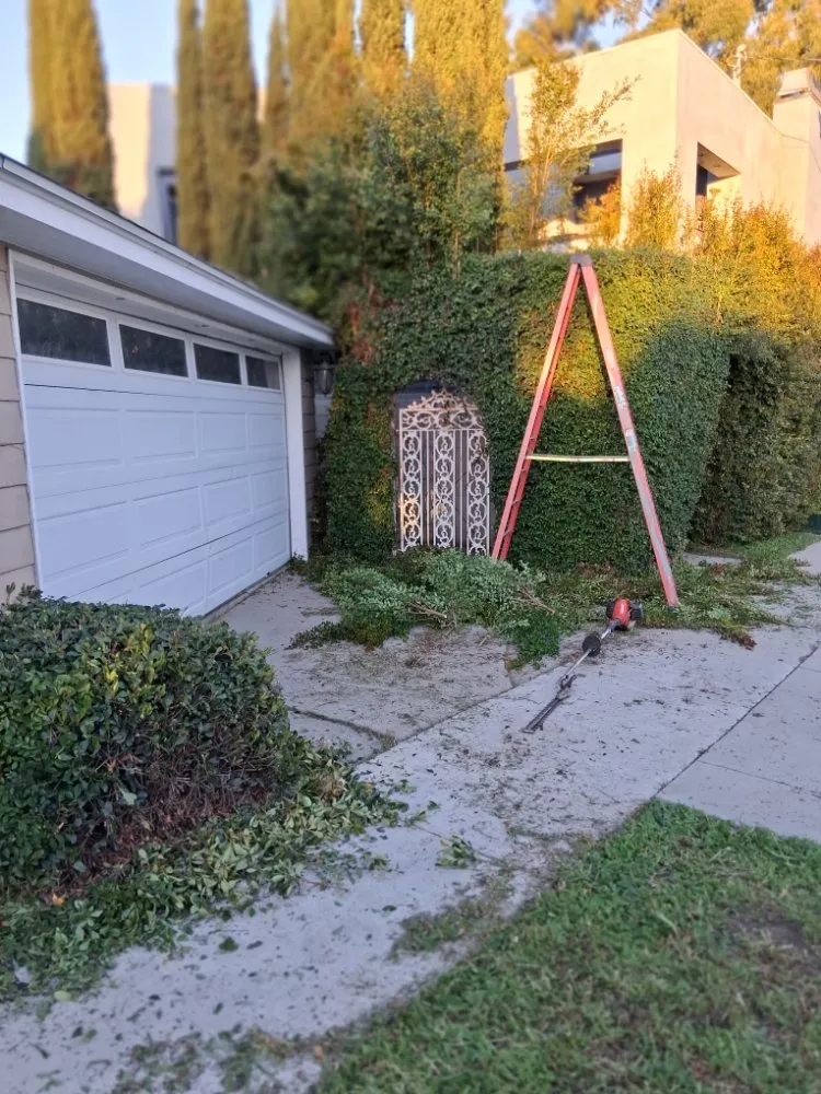 Trusted landscape installation experts serving Wilmington, CA - Olive Green Landscaping