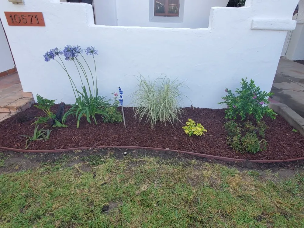 Affordable landscape design for residential properties in Wilmington, CA by Olive Green Landscaping