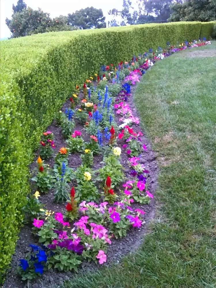 Top-rated outdoor landscaping in Wilmington, CA - Olive Green Landscaping
