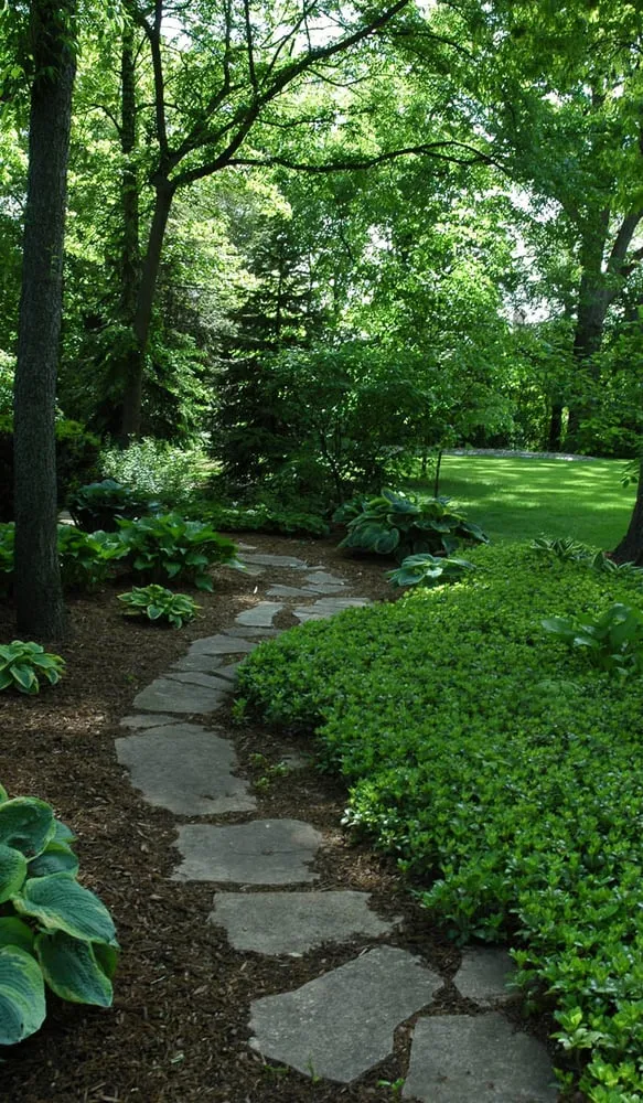 Trusted landscaping services in Elgin, IL - Olive Grove Landscaping