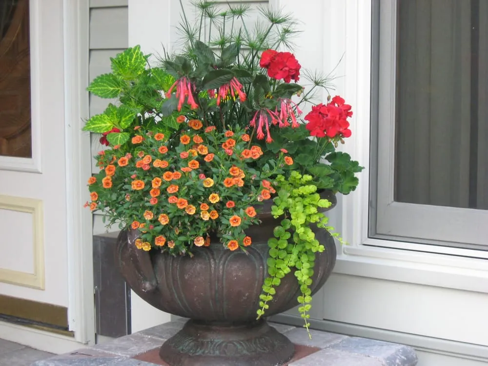 Professional outdoor landscaping experts serving Elgin, IL - Olive Grove Landscaping