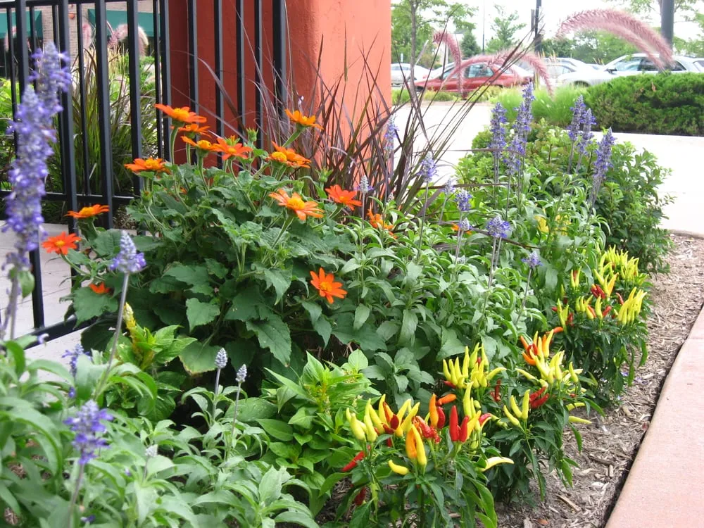 Professional garden landscaping for beautiful yards across Elgin, IL - Olive Grove Landscaping