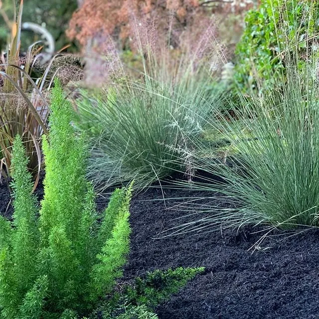 Reliable yard maintenance experts serving Foster City, CA - Olive Lawn Care