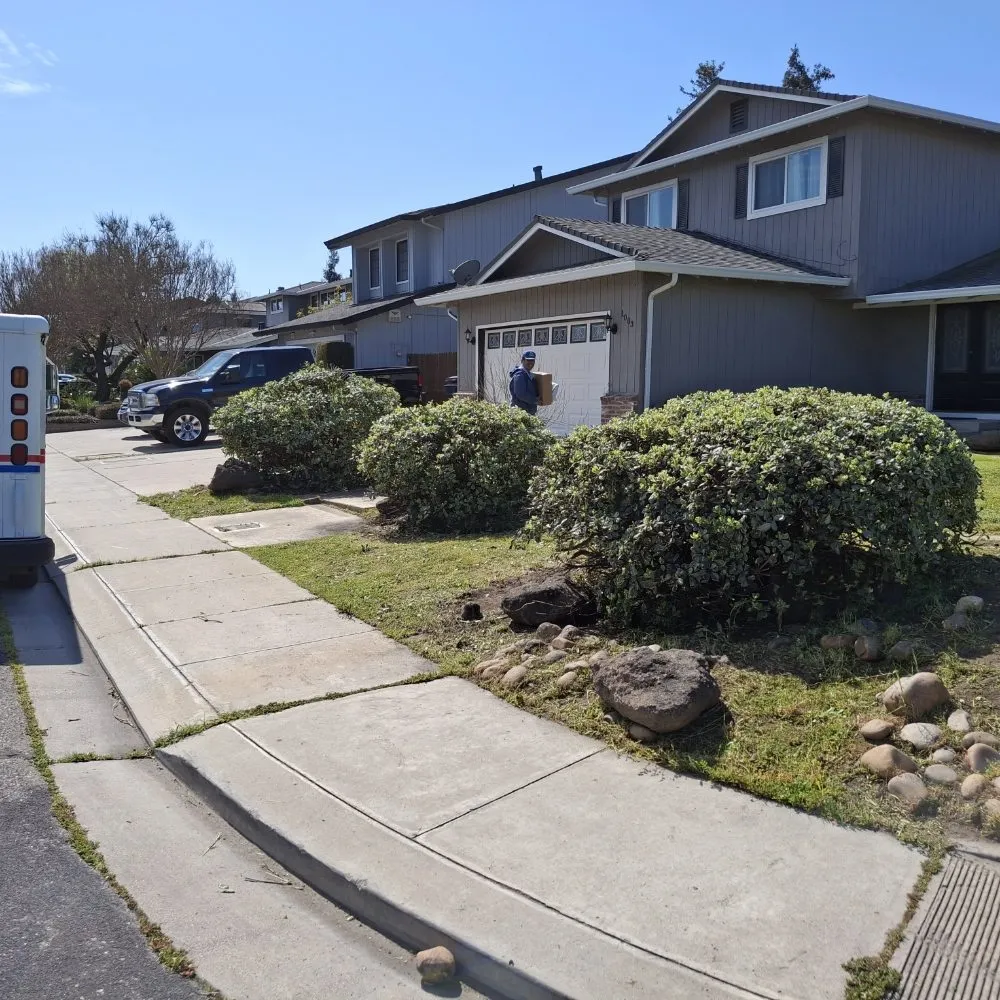 Expert lawn mowing service with custom design across Stockton, CA - Olive Tree Landscape