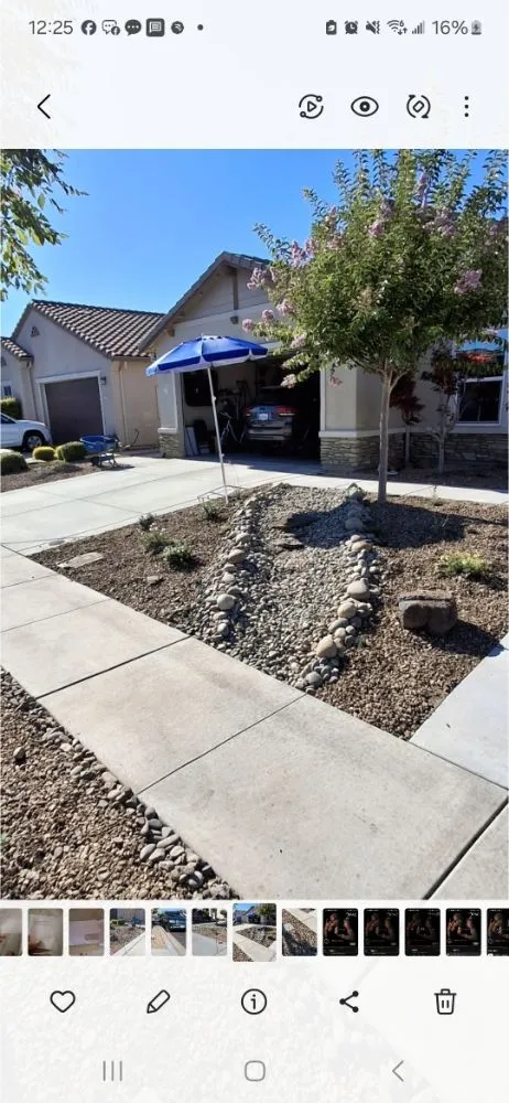 Affordable garden landscaping for year-round maintenance across Stockton, CA - Olive Tree Landscape