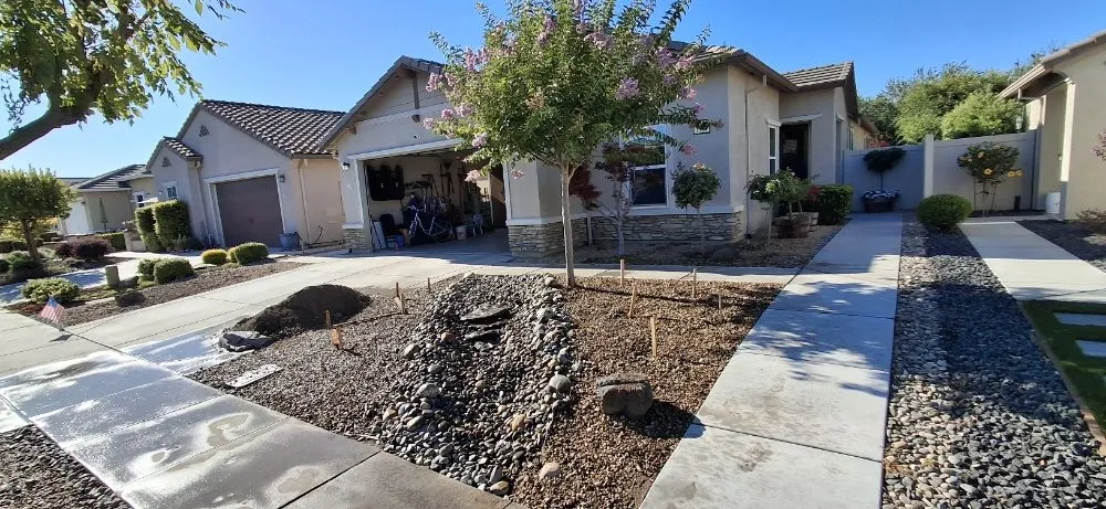 Expert landscape design in Stockton, CA - Olive Tree Landscape