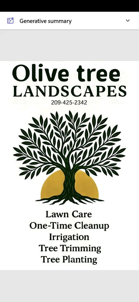 Expert lawn mowing service for year-round maintenance in Stockton, CA by Olive Tree Landscape