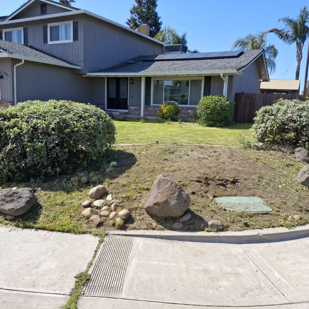 Top-rated yard cleanup service for homes in Stockton, CA by Olive Tree Landscape
