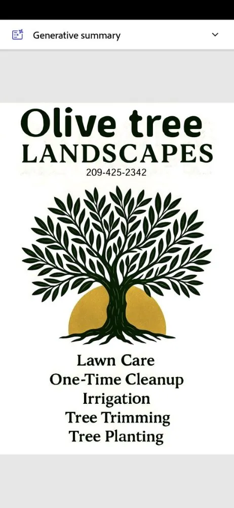 Local lawn mowing service in Stockton, CA - Olive Tree Landscape