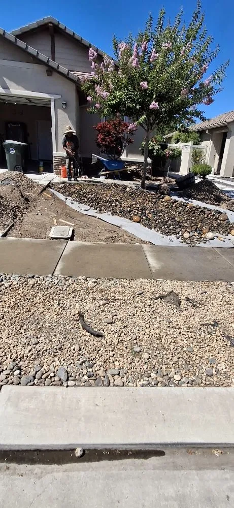 Top-rated lawn mowing service for beautiful yards in Stockton, CA by Olive Tree Landscape