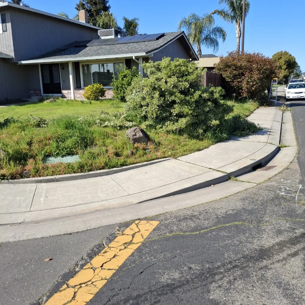 Top-rated landscaping services in Stockton, CA by Olive Tree Landscape