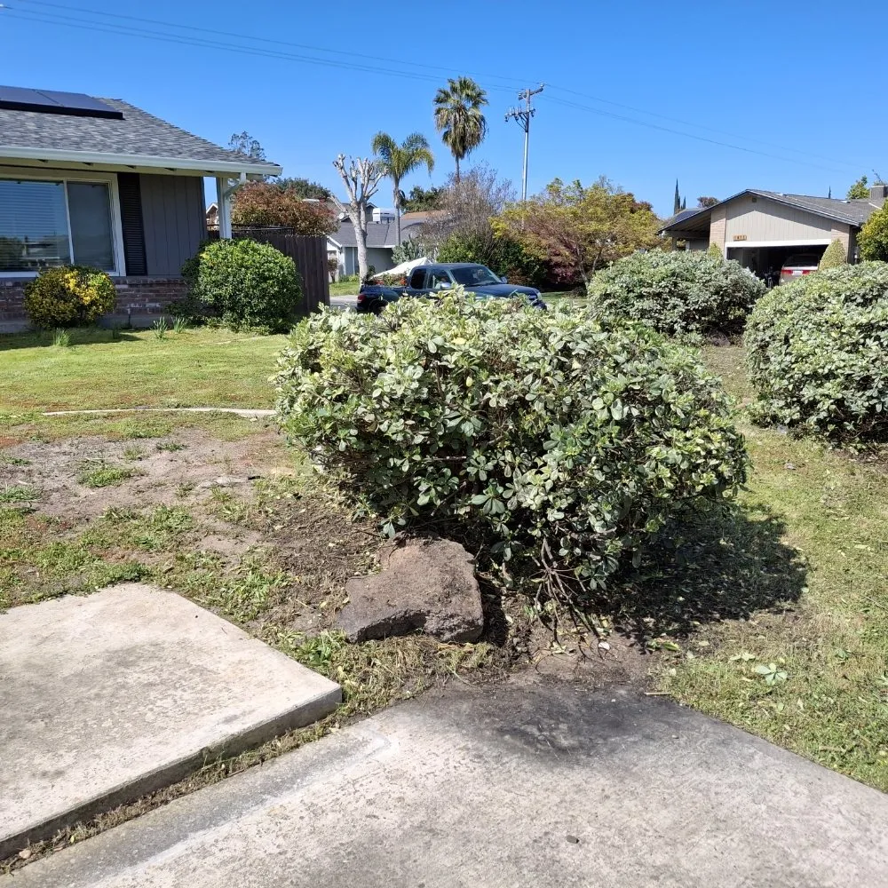 Trusted garden landscaping for residential properties across Stockton, CA - Olive Tree Landscape