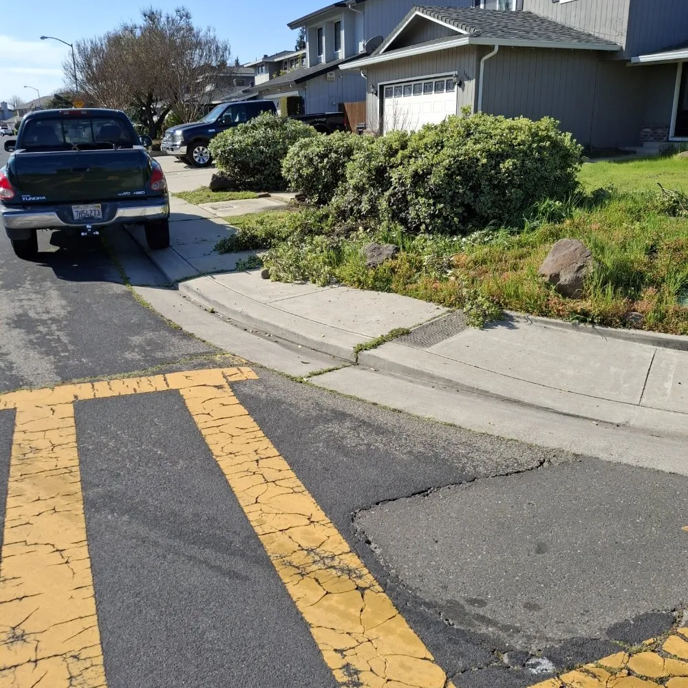 Trusted landscape installation in Stockton, CA - Olive Tree Landscape